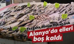 Alanya'da elleri boş kaldı: Tezgaha dönüp bakan yok