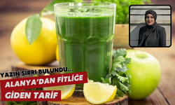 Yazın sırrı bulundu... Alanya’dan fitliğe giden tarif