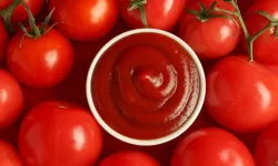 Alanyalılar Evde Ketçap Yapıyor: Hem Ekonomik Hem Sağlıklı Bir Alternatif