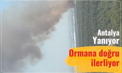 Antalya yanıyor: Ormana doğru ilerliyor