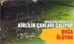 Antalya’da kuraklık ve kirlilik çanları çalıyor: Doğa ölüyor
