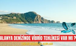 Alanya denizinde Vibrio tehlikesi var mı?