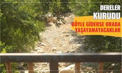 Dereler kurudu: Böyle giderse orada yaşayamayacaklar