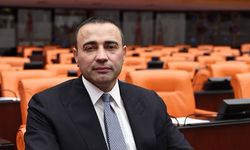Milletvekili Kaya'da Kuşyuvası için acil çağrı