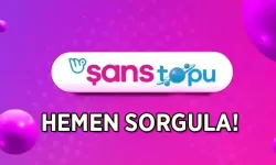 13 Ağustos 2025 Çarşamba Şans Topu Çekiliş Sonuçları