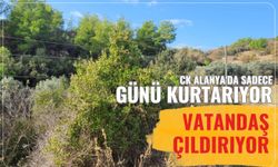 CK Alanya'da sadece günü kurtarıyor: Vatandaş çıldırıyor
