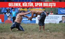 Gelenek, kültür, spor buluştu: Gökbel festivale doydu