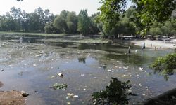 Antalya'da ekolojik değerler için çalışıyorlar