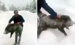 Yaban domuzunu yakaladı! Gündem oldu