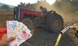 Çiftçiye can suyu hesaplarda: Ödemeler tamamlandı