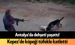 Antalya’da dehş*t! Kepez’de köpeği tüfekle katletti
