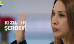 Kızılcık Şerbeti ne zaman başlıyor? Tarih açıklandı