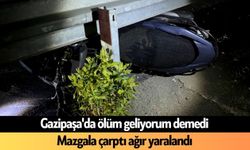 Gazipaşa'da ölüm geliyorum demedi: Mazgala çarptı ağır yaralandı