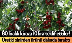 80 liralık kiraza 10 lira teklif ettiler! Üretici sinirden ürünü dalında bıraktı