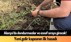 Alanya'da dondurmacılar ve esnaf sıraya girecek! Yeni gelir kapısının ilk hasadı