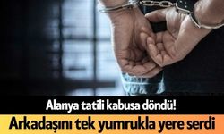 Alanya tatilleri kabusa döndü! Arkadaşını tek yumrukla yere serdi