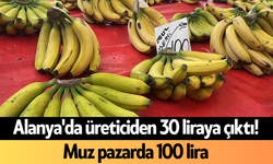 Alanya'da üreticiden 30 liraya çıktı! Muz pazarda 100 lira