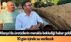 Alanya'da üreticilerin merakla beklediği haber geldi