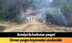 Antalya'da korkutan yangın! Orman yangını büyümeden söndürüldü