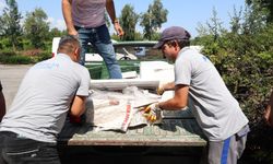 Antalya otogarında kaçak balık operasyonu