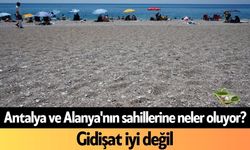 Antalya ve Alanya'nın sahillerine neler oluyor? Gidişat iyi değil