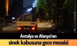 Antalya ve Alanya'nın sinek kabusuna gece mesaisi