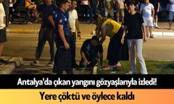 Antalya'da çıkan yangını gözyaşlarıyla izledi! Yere çöktü ve öylece kaldı