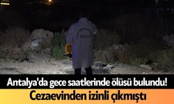 Antalya'da gece saatlerinde ölüsü bulundu