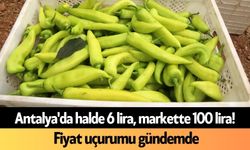 Antalya'da halde 6 lira, markette 100 lira! Fiyat uçurumu gündemde