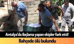 Antalya'da ilaçlama yapan ekipler fark etti! Bahçede ölü bulundu