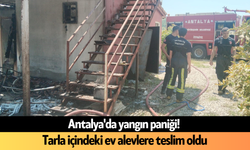 Antalya'da yangın paniği! Tarla içindeki ev alevlere teslim oldu