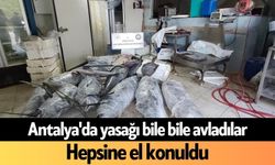 Antalya'da yasağı bile bile avladılar