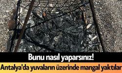 Bunu nasıl yaparsınız! Antalya'da yuvaların üzerinde mangal yaktılar