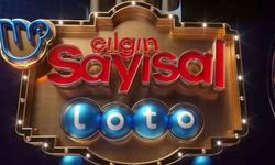 8 Haziran Çılgın Sayısal Loto'da büyük ikramiye hangi ile, nereye çıktı?