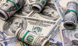 Dolar 46,10 TL oldu