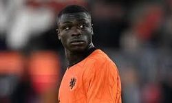 Hollanda'nın 2 golünü atan Brian Brobbey kimdir?