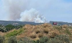 İzmir ve Muğla'da orman yangını! Ekipler harekete geçti