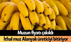 Muzun fiyatı çakıldı: İthal muz Alanyalı üreticiyi bitiriyor