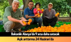 Narenciye üreticisi zor günlerden geçiyor