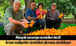 Alanya'da narenciye üreticisi zor günlerden geçiyor