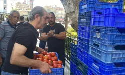 Serik'te üretici kriz geçirdi: 4 ton domatesi dağıttı