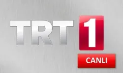 TRT 1 CANLI İZLE l Norveç-İngiltere maçı nasıl izlenir?