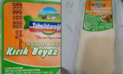 Tahsildaroğlu'nun hangi peynirinde Listeria bakterisi çıktı?