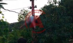 Son dakika: Alanya’da CK Elektrik personeli akıma kapılıp öldü!