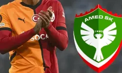 Amedspor'dan Galatasaray ve Fenerbahçe'nin eski golcüsüne kanca!