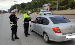 Alanya’da her an karşınıza çıkabilirler! Araçlar otoparka çekiliyor