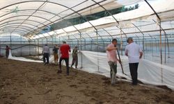 Antalya seralarında yeni dönem! Solarizasyon dönemi başladı