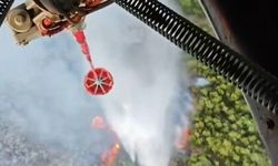 Antalya'daki orman yangınında son durum! Açıklama geldi