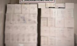 Antalya jandarmadan kaçak alkol operasyonu