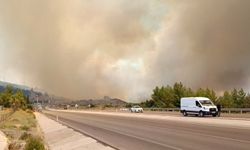 Son Dakika! Antalya'da bir orman yangını daha